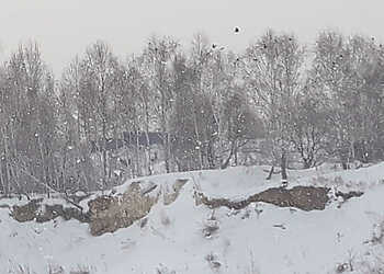 В Сосновском районе ожидают тепла и метелей