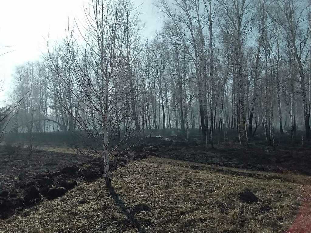 До садов один километр: как сдерживают природный пожар под Челябинском