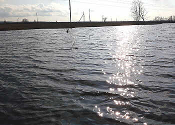 Жителей Сосновского района ожидают теплые дни и активное солнце