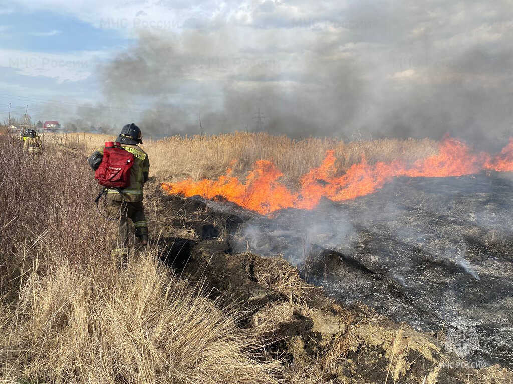 В Челябинской области за сутки произошло 77 ландшафтных пожаров