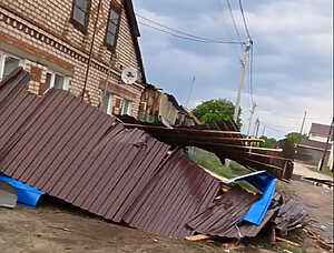Град, ураган и пострадавший пони: в Сосновском районе разгулялась стихия