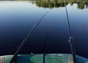 Куда поехать на выходные из деревни?