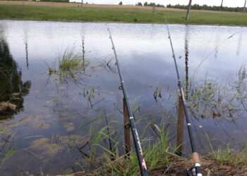 Чем могут порадовать себя жители Сосновского района в выходные?