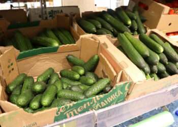 В Челябинской области подешевели огурцы и помидоры