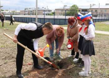 Саргазинские школьники посадили аллею памяти и открыли музей