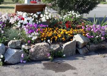 В Сосновском районе будет  облачно и тепло