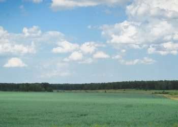 В Сосновском районе будет стабильно жарко