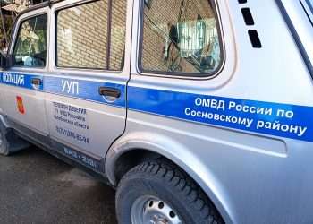 Автомобили и барсетки под пристальным контролем воришек