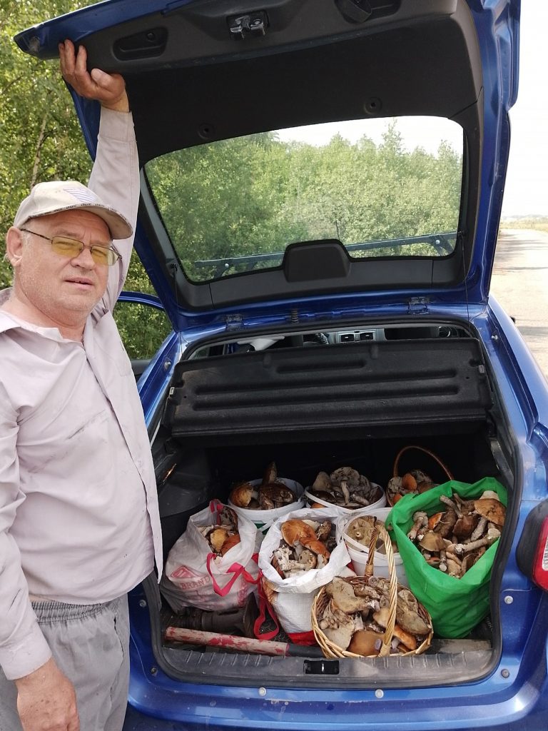 Тихая охота: жители Сосновского района делятся фотографиями урожая грибов