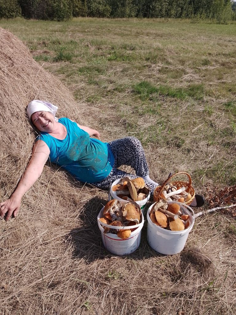 Тихая охота: жители Сосновского района делятся фотографиями урожая грибов