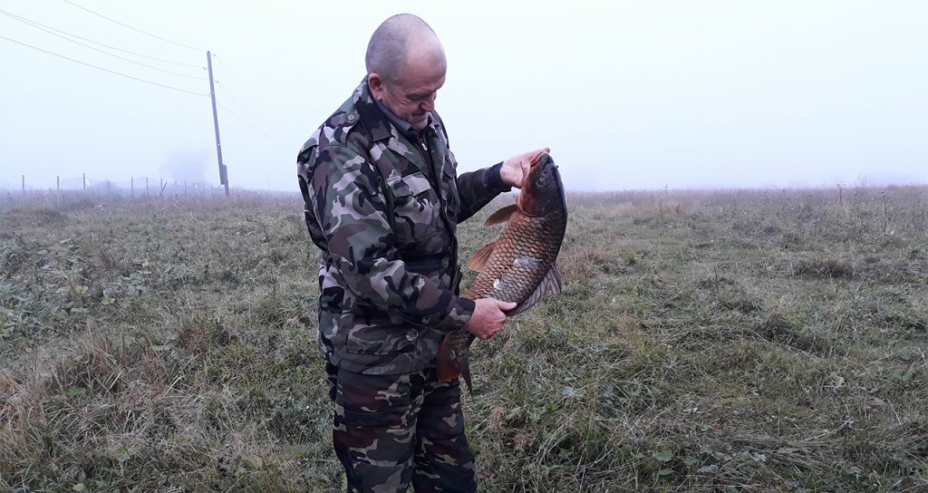 Где провести выходные жителю Сосновского района