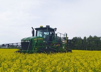 Первые овощи и картофель собраны в Сосновском районе 