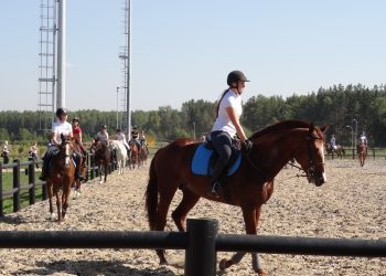 Уральские конники посоревнуются за Кубок Губернатора Челябинской области