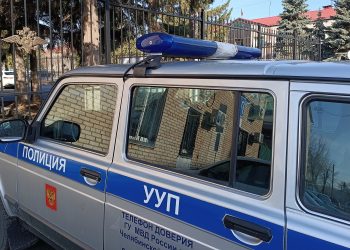 Сосновские полицейские раскрыли кражу ста листов профлиста