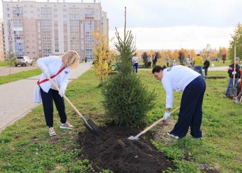 В микрорайоне Белый хутор высадили 40 деревьев
