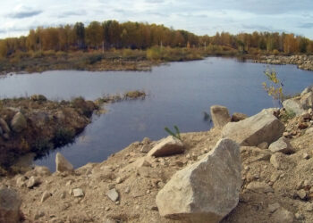 Собственнику карьера возле Кременкуля придется восстановить земли