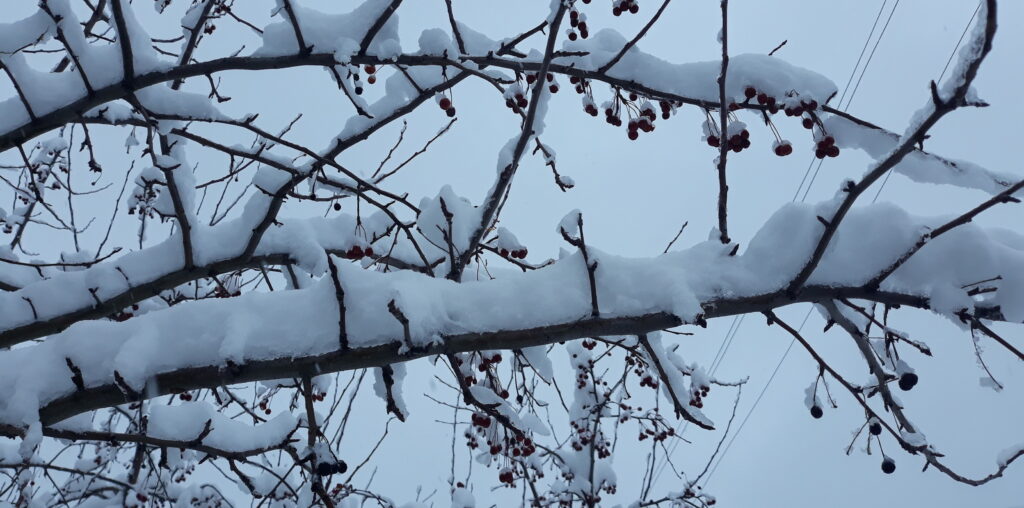 На уик-энд в Сосновский район заглянет зима