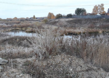 В Сосновский район спешит зима