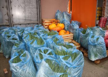Рынок в Кременкуле приостановил свою деятельность по решению суда