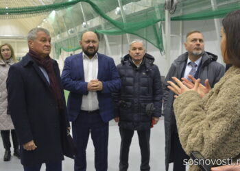 В Сосновском районе открыли Академию спорта