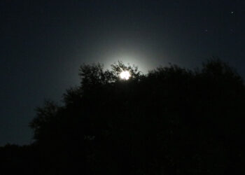 Как жителю Сосновского района загадать желание