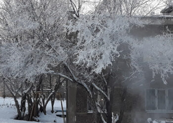 К выходным в Сосновском районе станет теплее