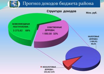 Бюджет принят единогласно