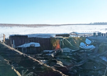 В Сосновском районе сгорел садовый домик