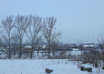 Жителей Сосновского района порадуют предновогодние сосульки