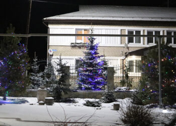 Сосновцы встретят Новый год с новым снегом и легким похолоданием