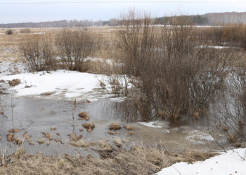 В Сосновском районе зажурчат ручьи