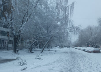 Мартовские морозы минуют Сосновский район