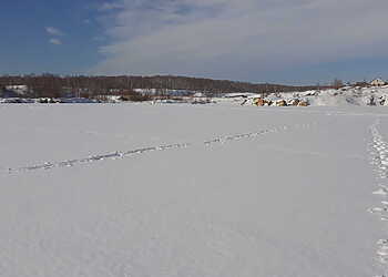 Женщинам Сосновского района весна подарит букет снежинок