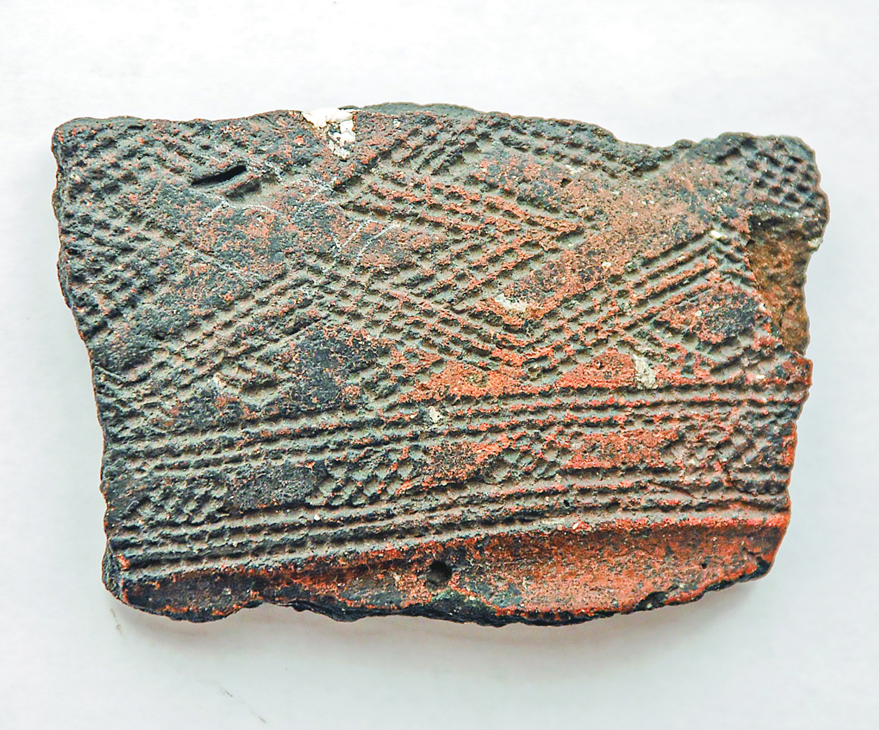 Артефакты под микроскопом: древняя форма с берега Киржакуля продолжает удивлять