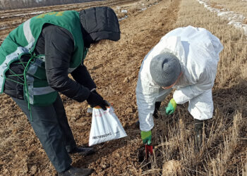 Сельхозпредприятие наказали за загрязнение земли в Сосновском районе