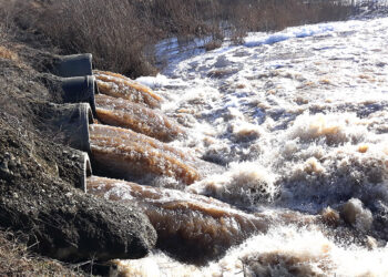 Переполнится ли пруд в Медиаке
