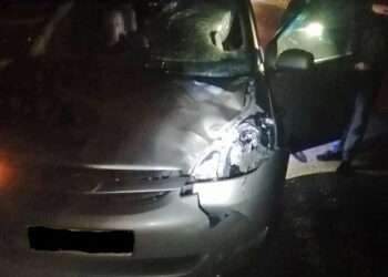 В Сосновском районе женщина погибла под колесами иномарки