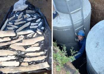 Возле Ключевки нашли второй бивень слона
