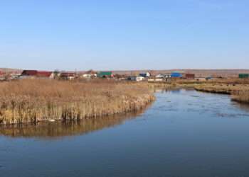 В реке Миасс близ села Большие Харлуши утонул мужчина