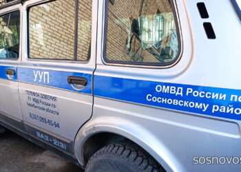 Житель Долгодеревенского обманул пенсионерку