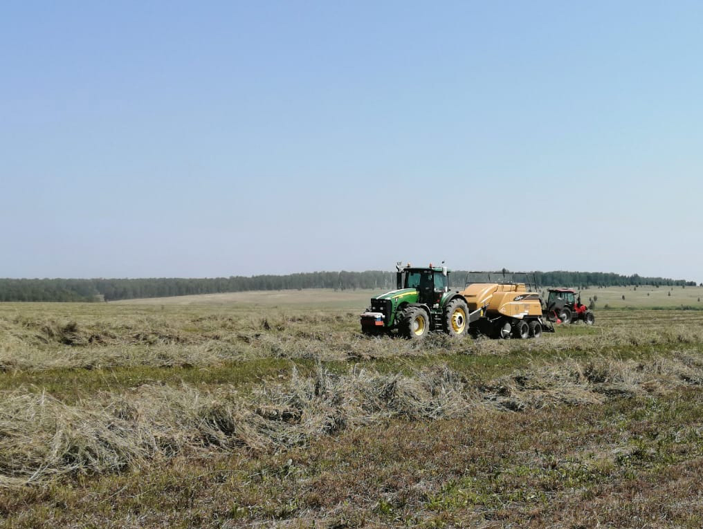 Курс губернатора на сильное село: для аграриев есть поддержка