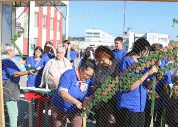 Волонтеры провели первый слет-фестиваль в Сосновском районе