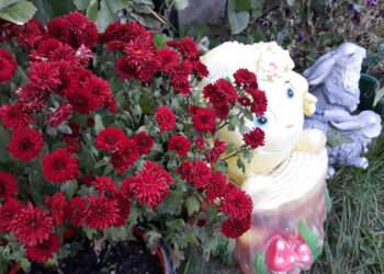 Первый зимний привет. В Челябинской области ожидают снегопады, но не везде