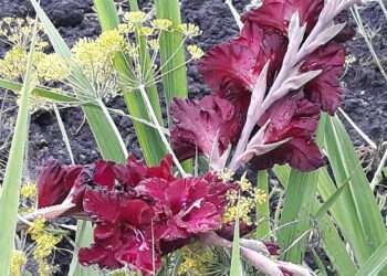 Неужели лето с нами попрощалось?