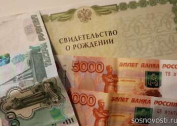 Какие доходы исключают при назначении единого пособия