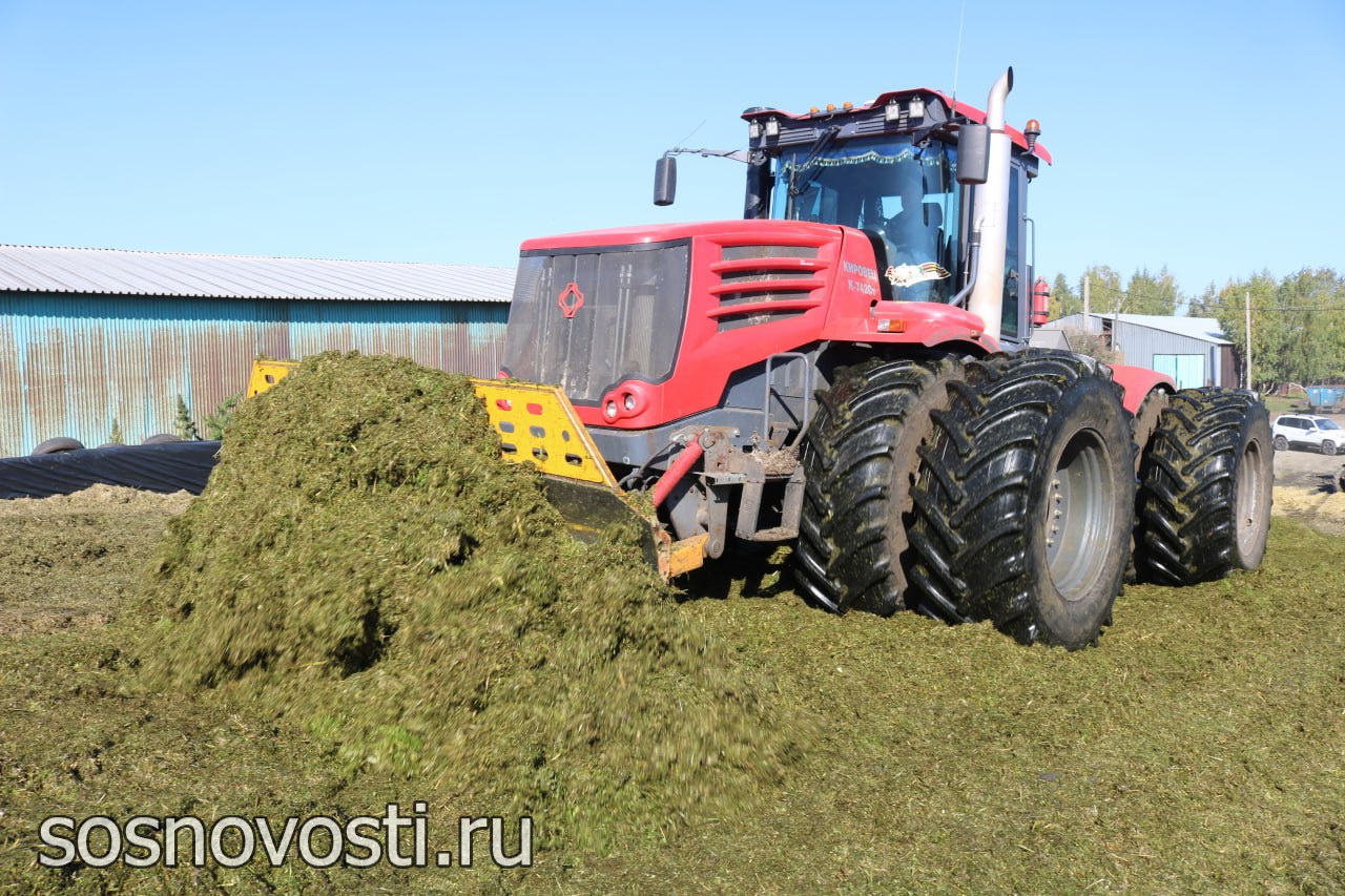 Сосновские аграрии опережают соседей по запасу кормов