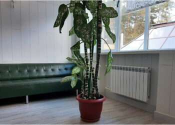 В Сосновском районе подключают к теплоснабжению социальные объекты