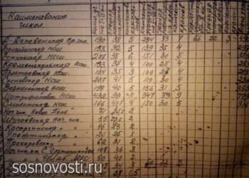 Травы и витамины: кто помогал врачам спасать раненых в 1942 году