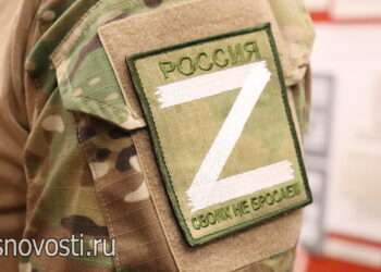 Справку участника СВО можно будет получить на Госуслугах