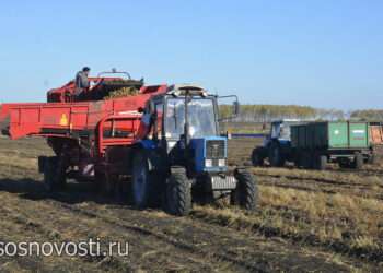 Хозяйства завершают уборку в экстремальных условиях